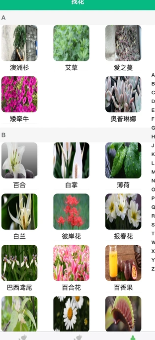 征服绿植手机下载