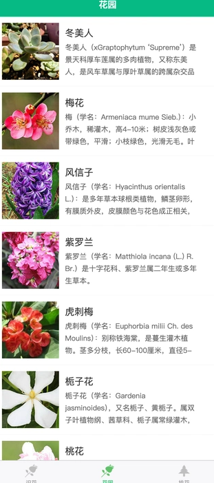 征服绿植手机下载