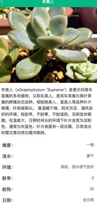 征服绿植手机下载