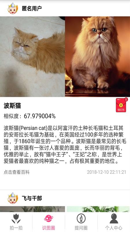 拍照识物软件免费下载