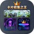 卡片收集之王免费版v1.0