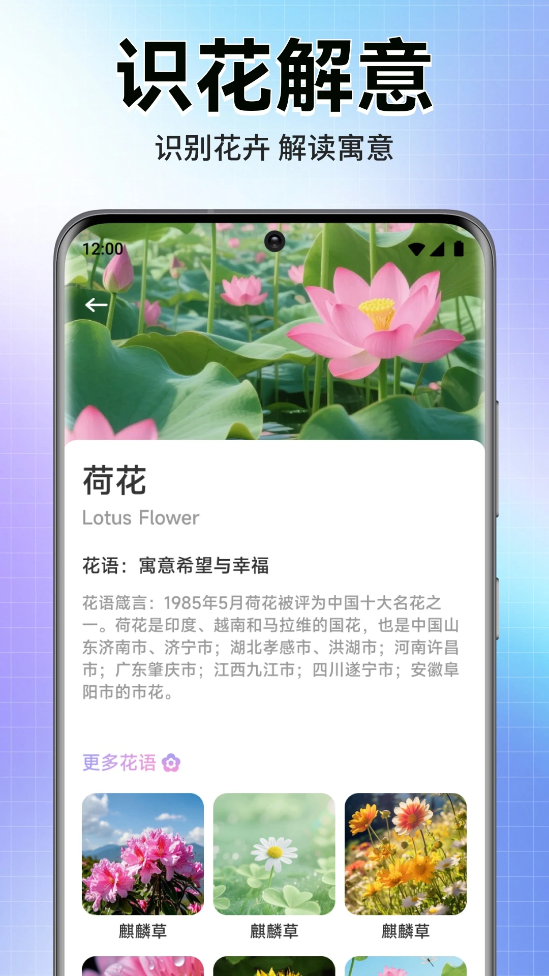 语信通译app下载