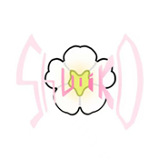 术力口安卓版下载v1.0.0