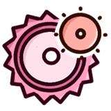 齿轮辅助羽霖咲华最终形态直装版下载v13.20.0