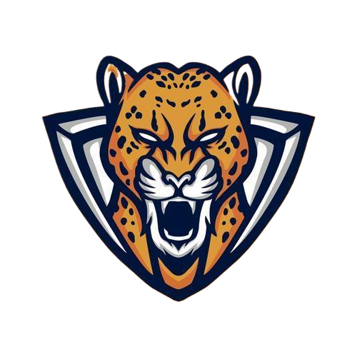 野豹直装apk直装版下载v9999