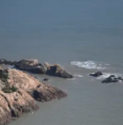 森林幸存正式版v0.2