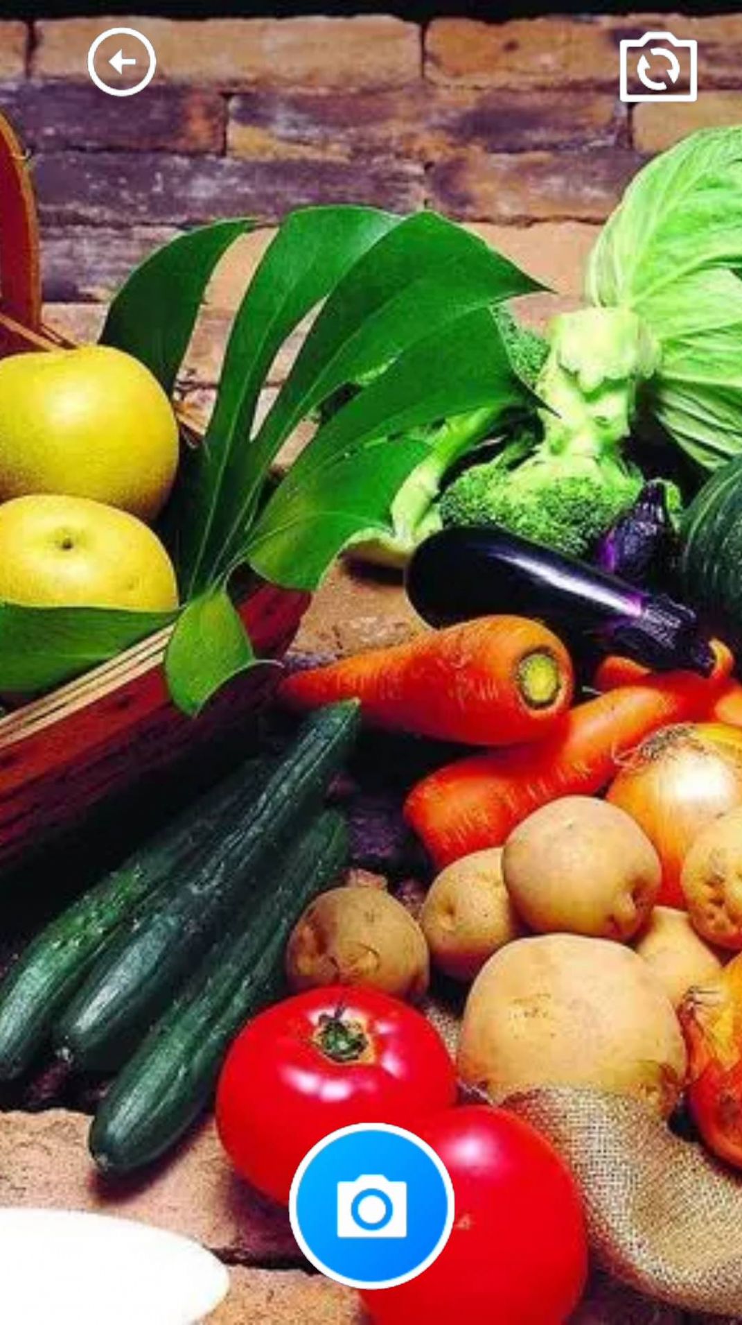 花蝶舞盒子app下载