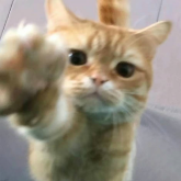 RD软件库apk直装版下载