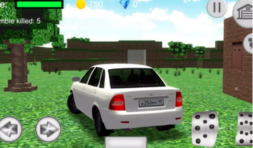 VAZ拉达普里奥拉模拟器官网版下载